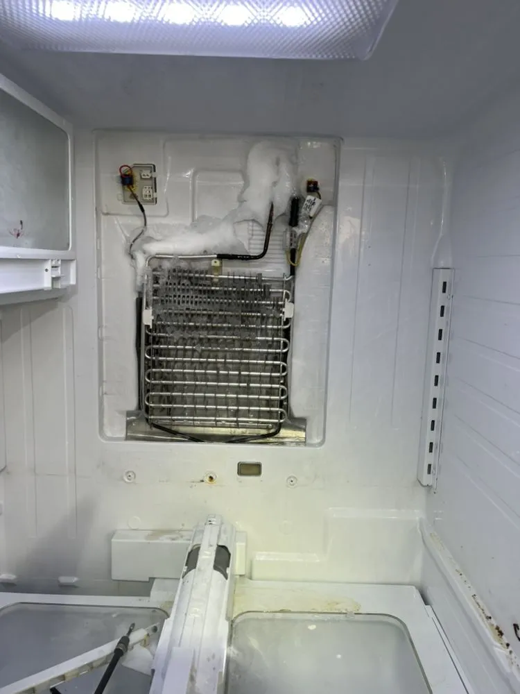 Slide of FREON Service