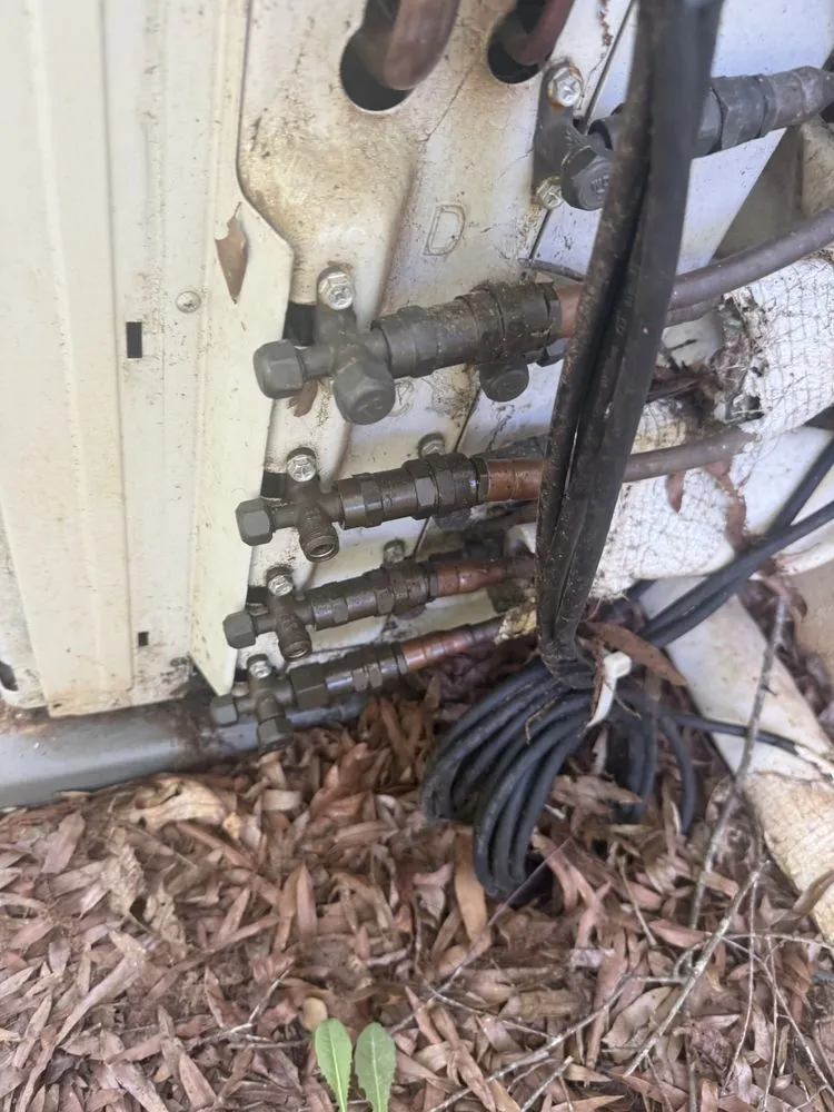 Slide of Freon Warriors