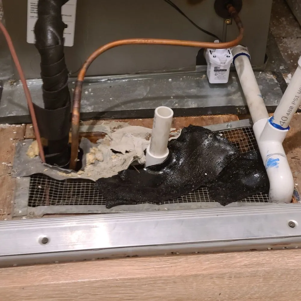 Slide of Freschi Air Service Experts