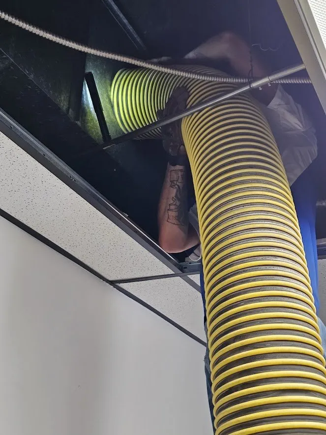 Slide of Fresh and Clean Carpets