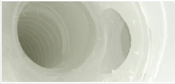 Slide of Fresh and Clean Carpets