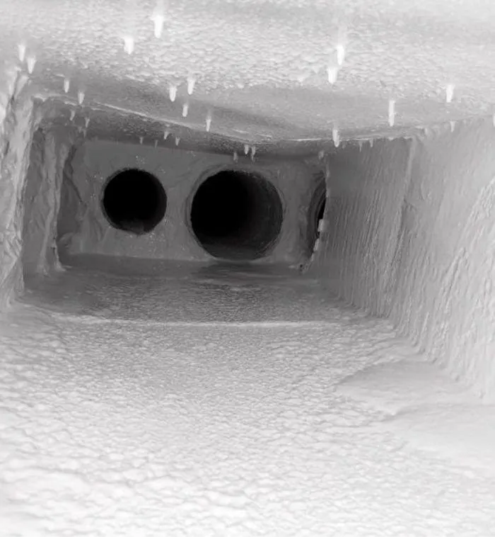 Slide of Fresh and Clean Carpets