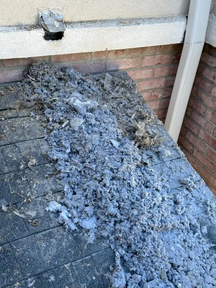 Slide of Fresh and Clean Carpets