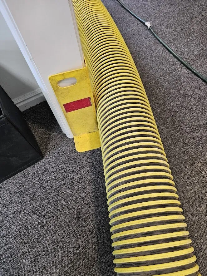 Slide of Fresh and Clean Carpets