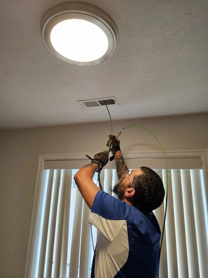 Slide of Fresh and Clean Carpets