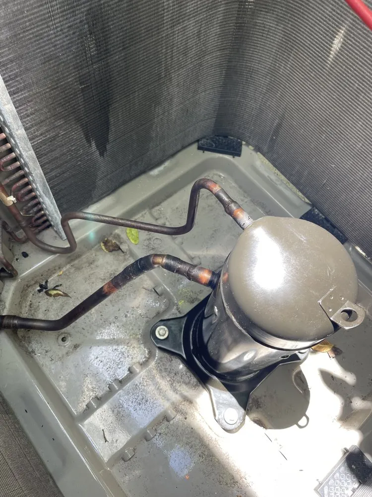 Slide of Fresh And Flawless Corp