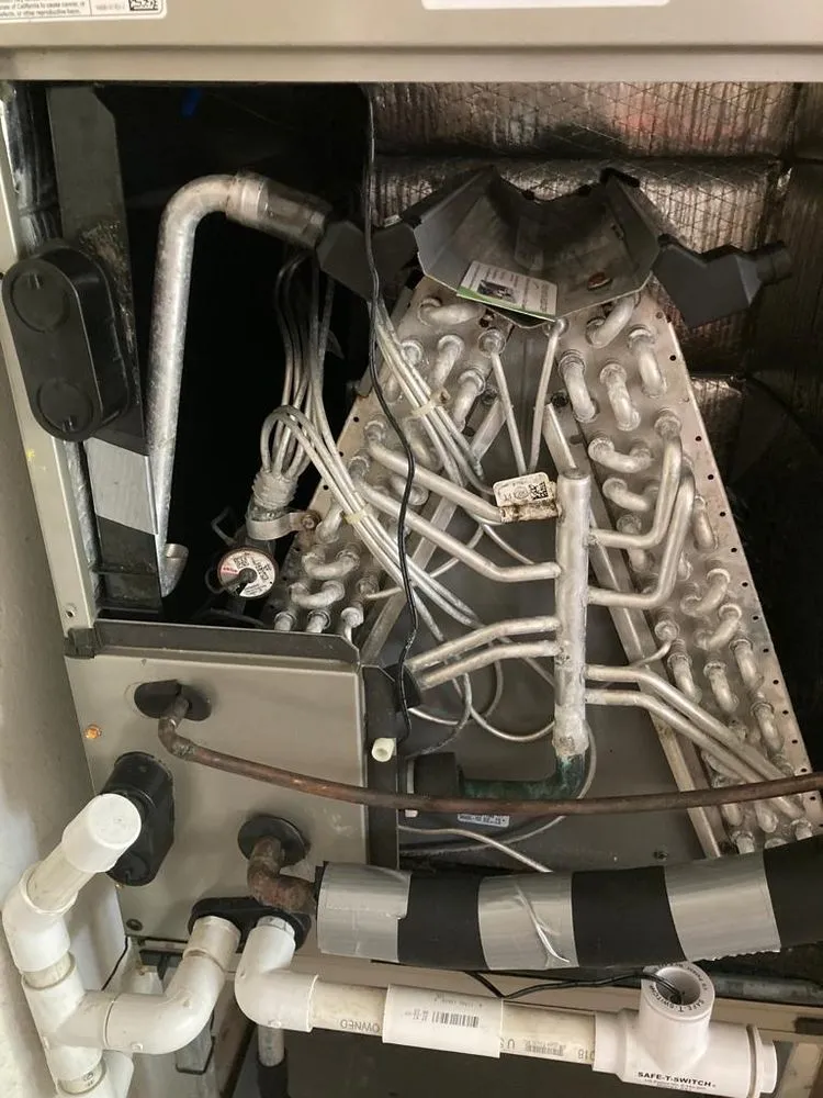 Slide of Fresh And Flawless Corp