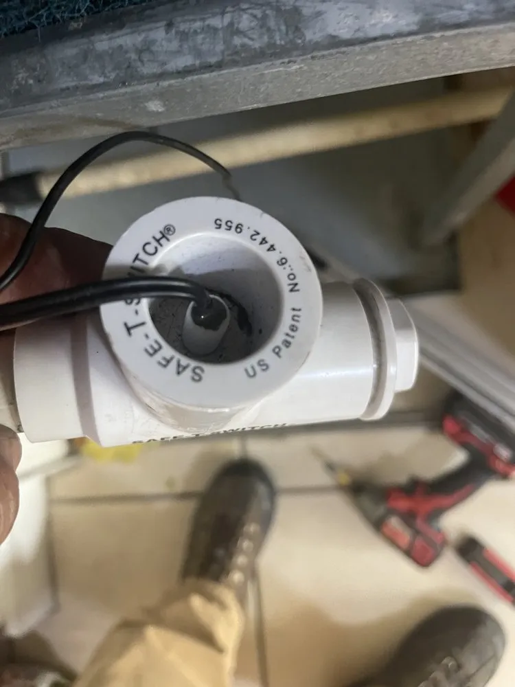 Slide of Fresh And Flawless Corp