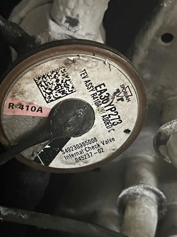 Slide of Fresh And Flawless Corp