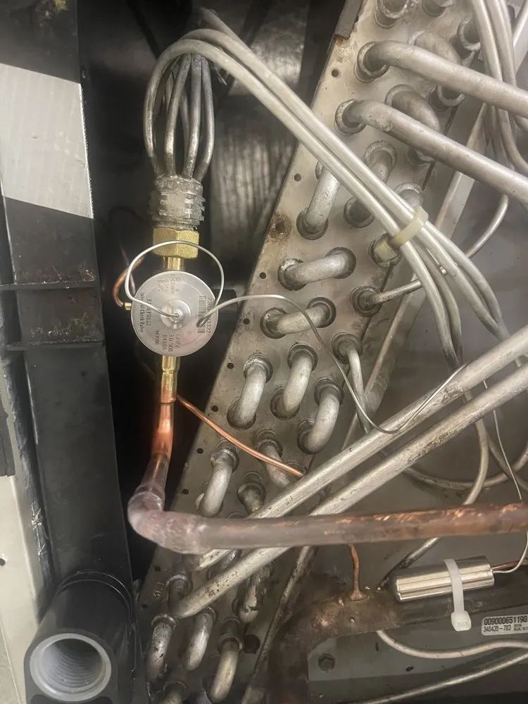 Slide of Fresh And Flawless Corp