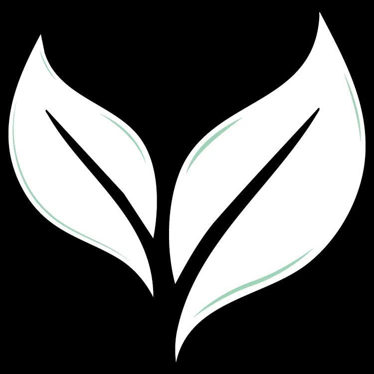 Slide of Fresh Comfort Solutions