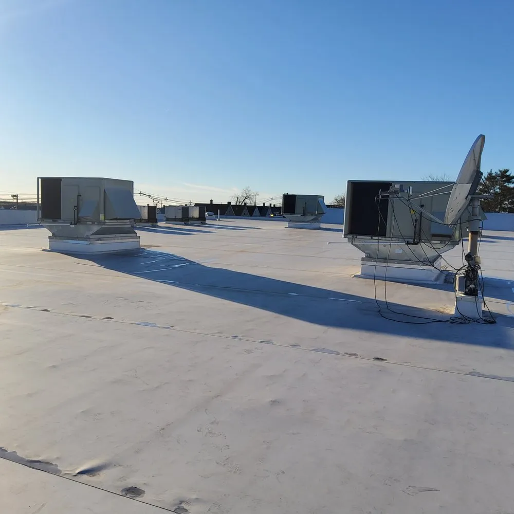 Slide of Fresh Leaf Energy