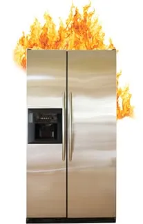 Slide of Fridge Clean and Repair