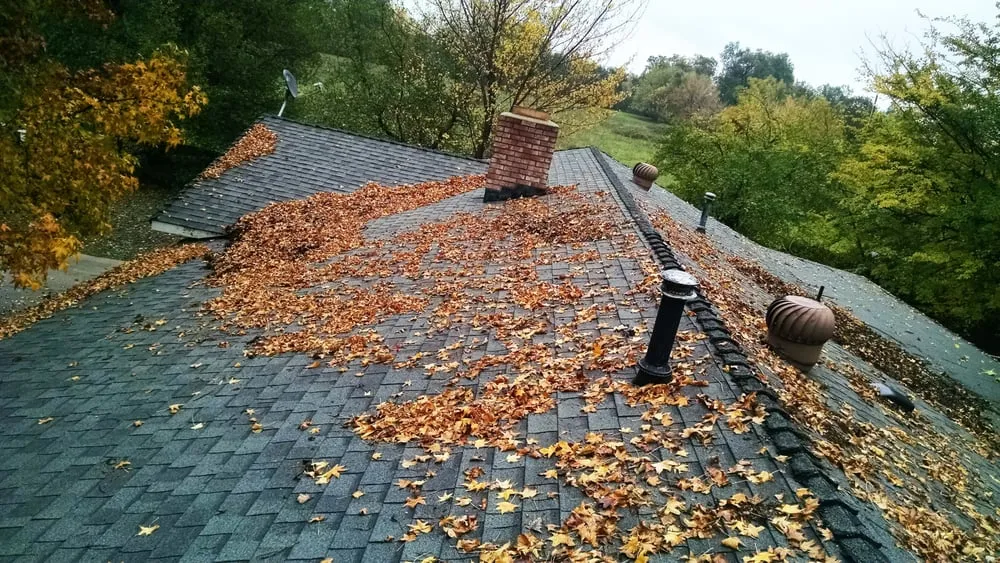 Slide of Friendly's Handy Service