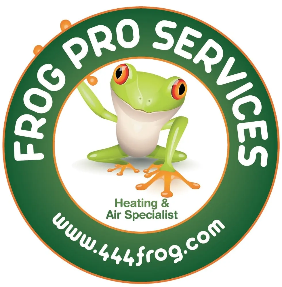 Slide of Frog Pro Services