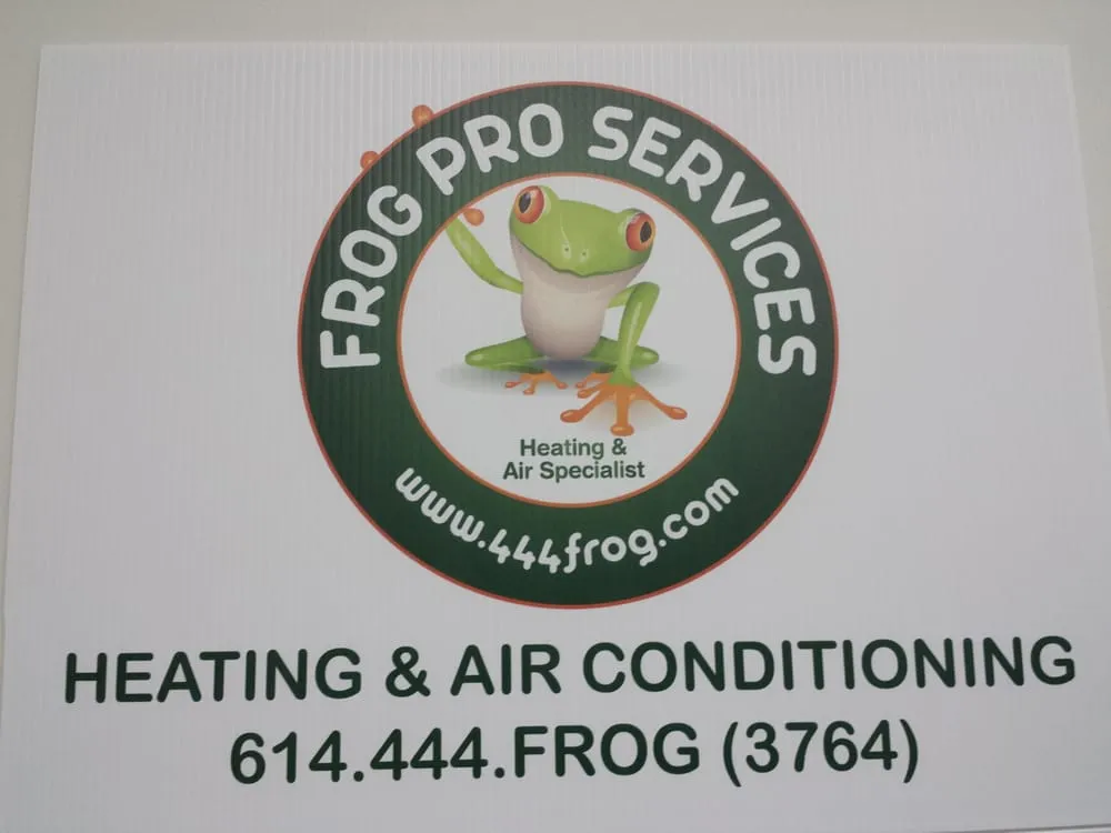 Slide of Frog Pro Services