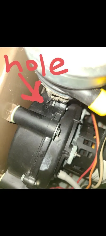 Slide of Frog Pro Services