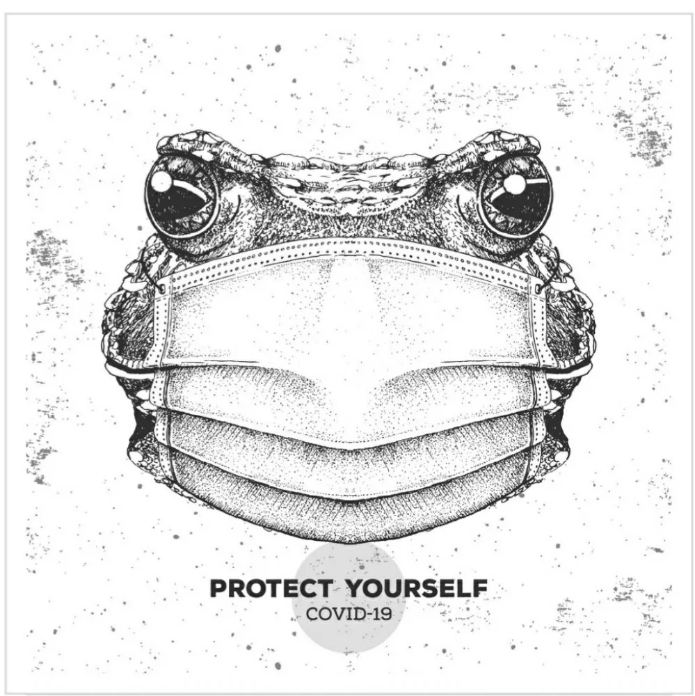 Slide of Frog's Heat And Air