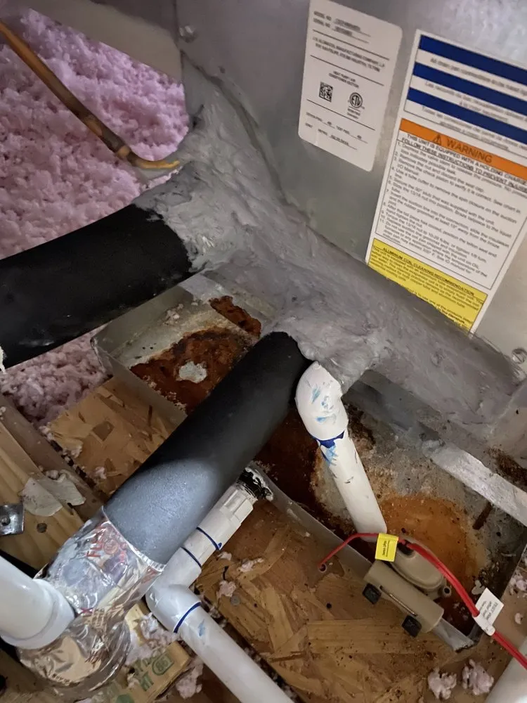 Slide of Frostbite A/C