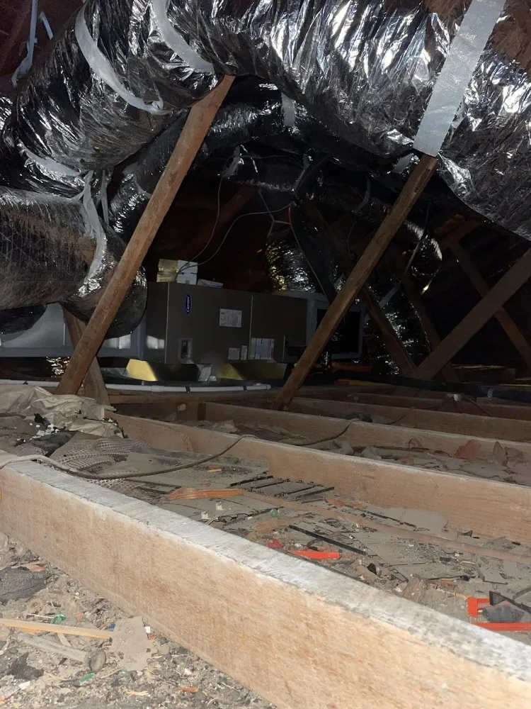 Slide of Frostbite A/C