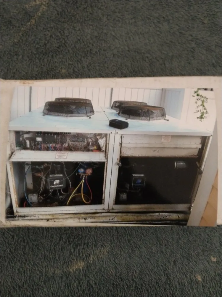 Slide of Frosty Cole