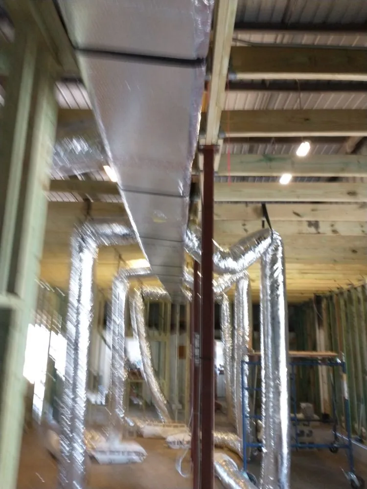 Slide of Frosty Cole