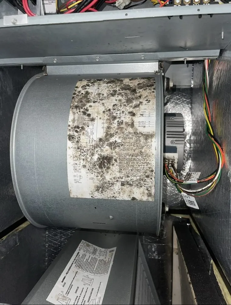 Slide of Frozen HVAC