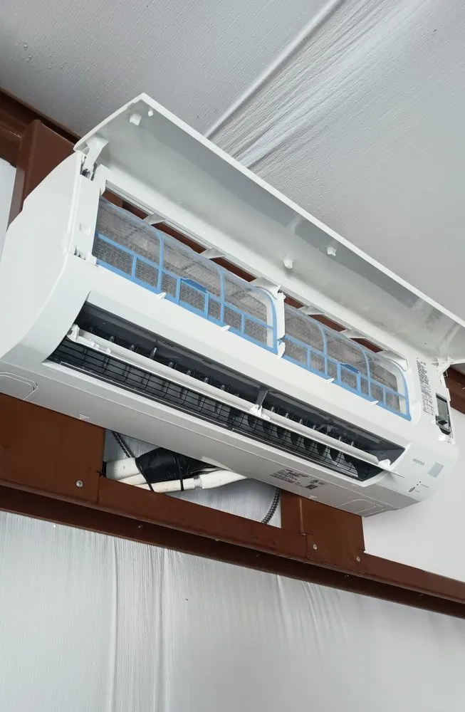 Slide of Frozen Refrigeration