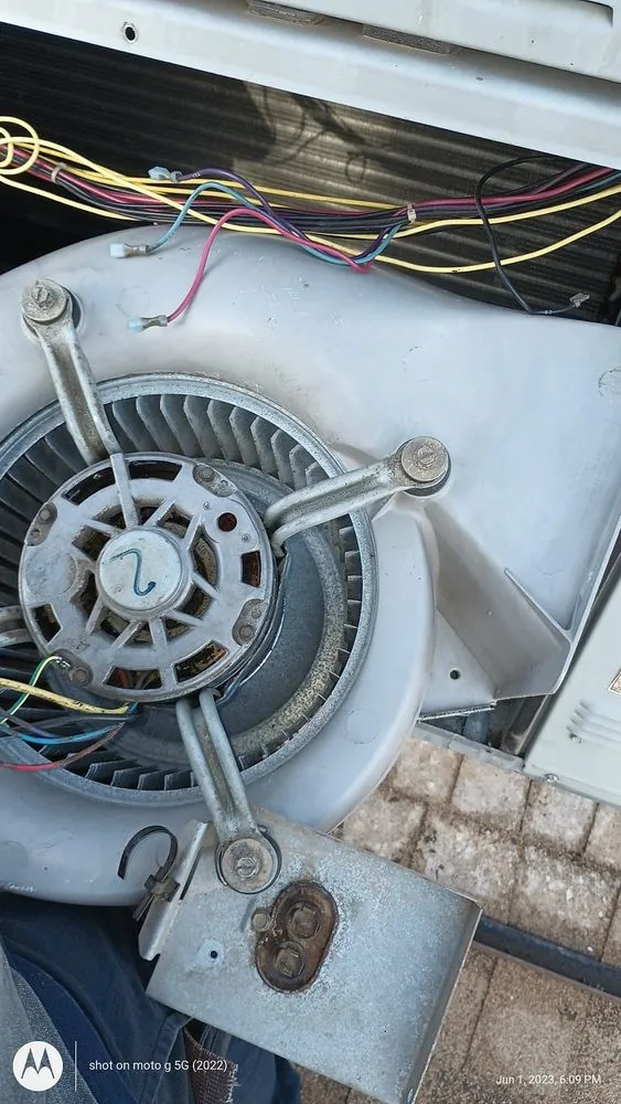 Slide of Frozen Refrigeration