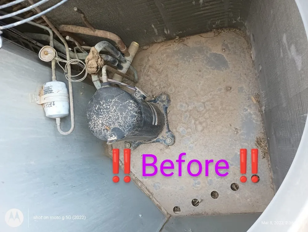 Slide of Frozen Refrigeration