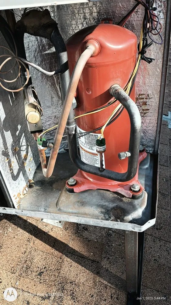 Slide of Frozen Refrigeration