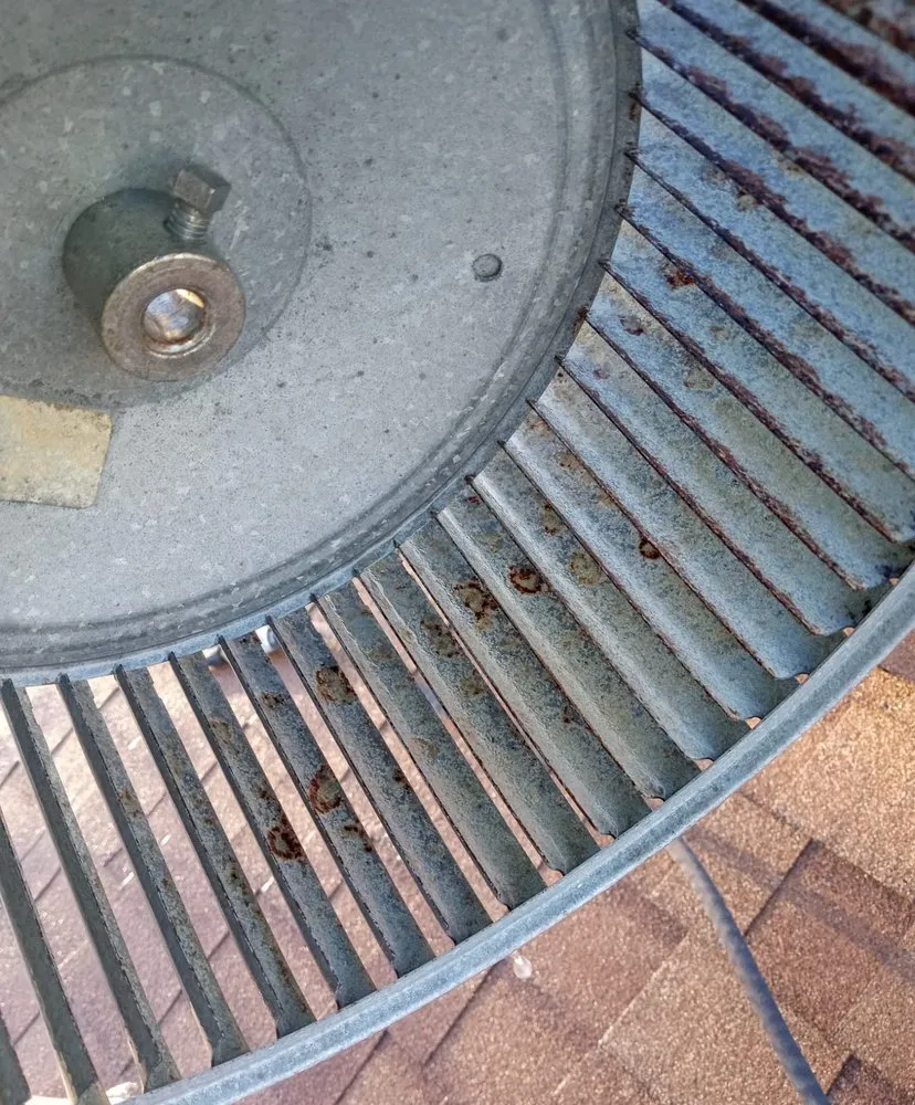 Slide of Frozen Refrigeration