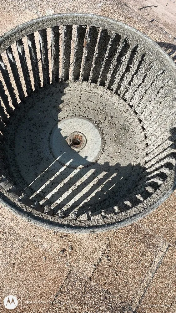 Slide of Frozen Refrigeration