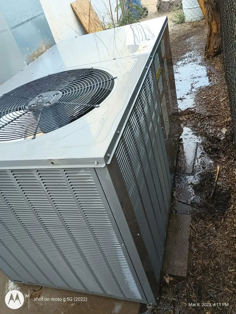 Slide of Frozen Refrigeration