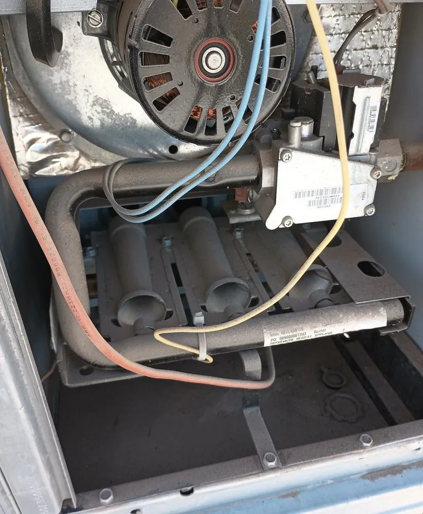 Slide of Frozen Refrigeration