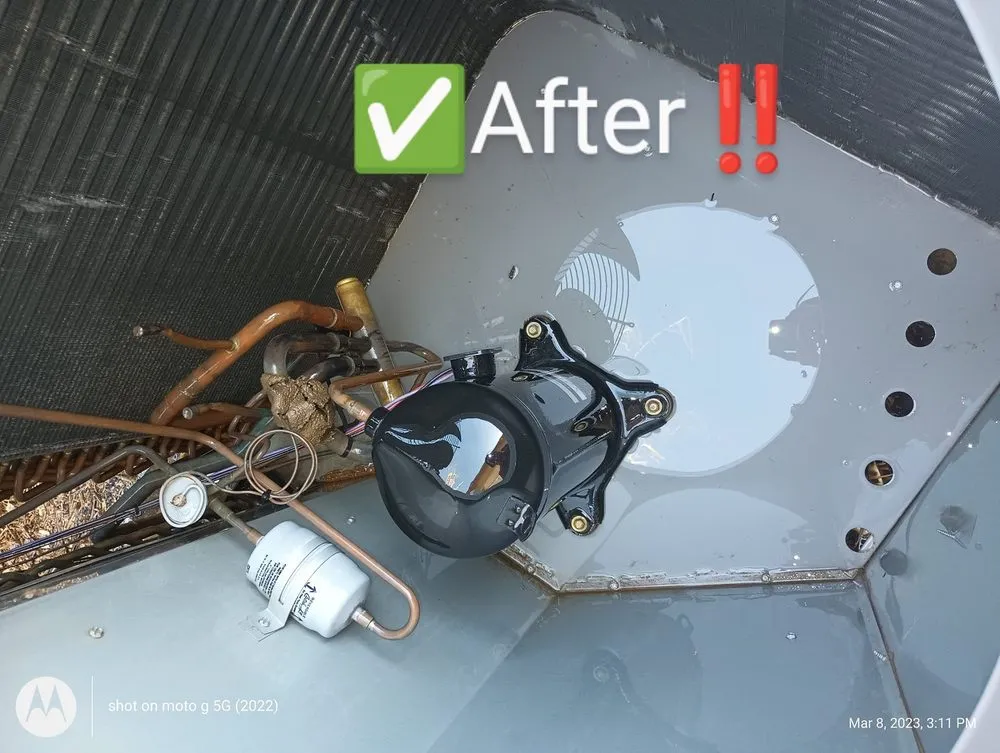 Slide of Frozen Refrigeration