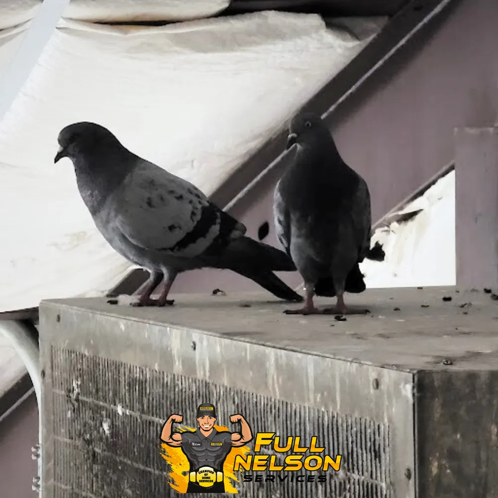 Slide of Full Nelson Plumbing Heating & Cooling