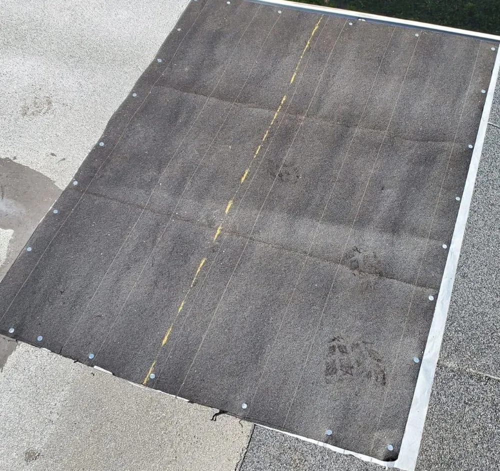 Slide of Fundora’s Brother’s