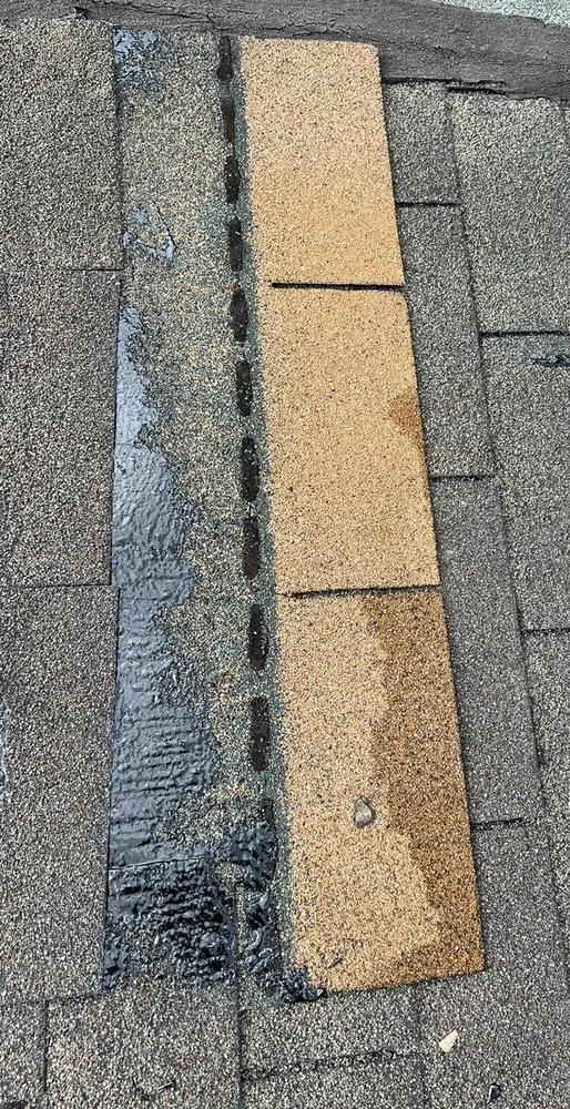 Slide of Fundora’s Brother’s