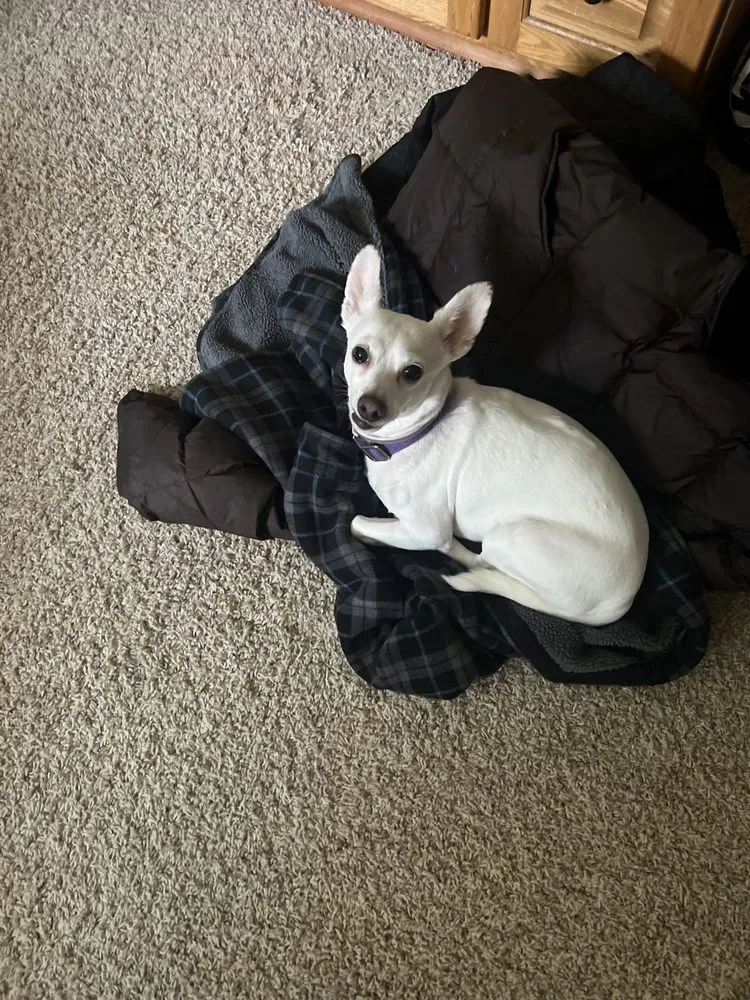 Slide of Furnace Doctors