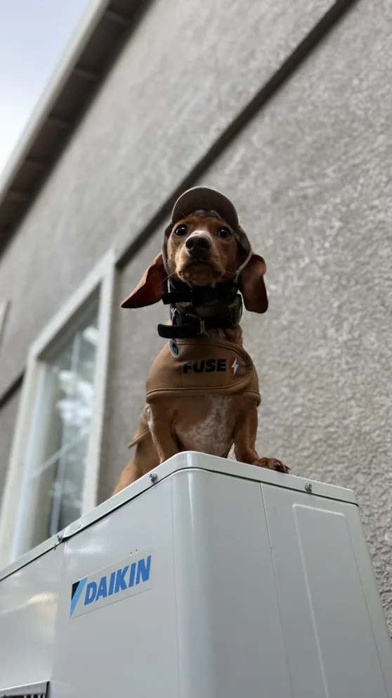 Slide of Fuse HVAC & Appliance Repair