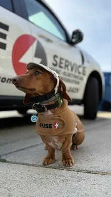 Fuse HVAC & Appliance Repair