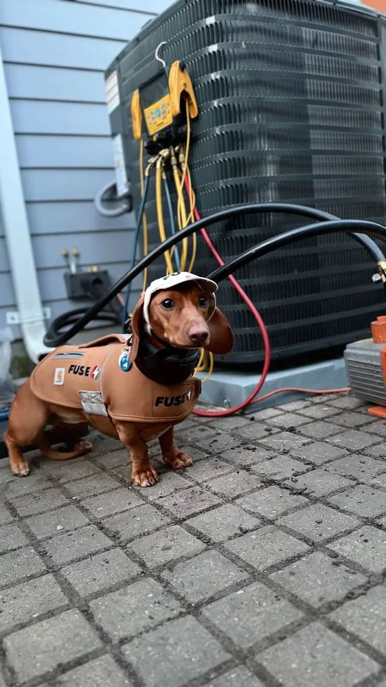 Slide of Fuse HVAC, Electrical & Appliance Repair