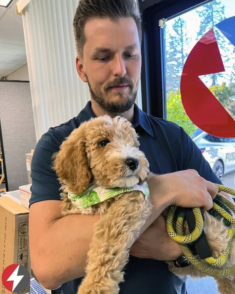 Slide of Fuse Service