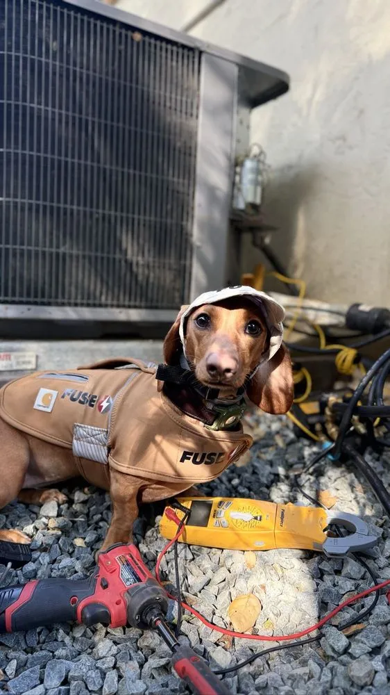 Slide of Fuse Service