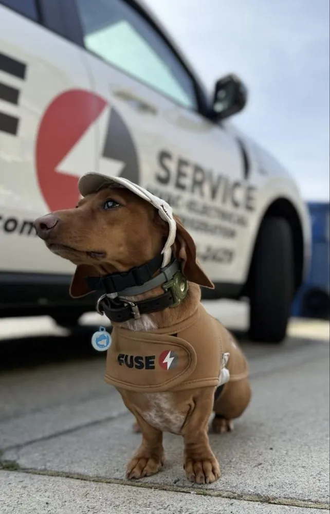 Slide of Fuse Service