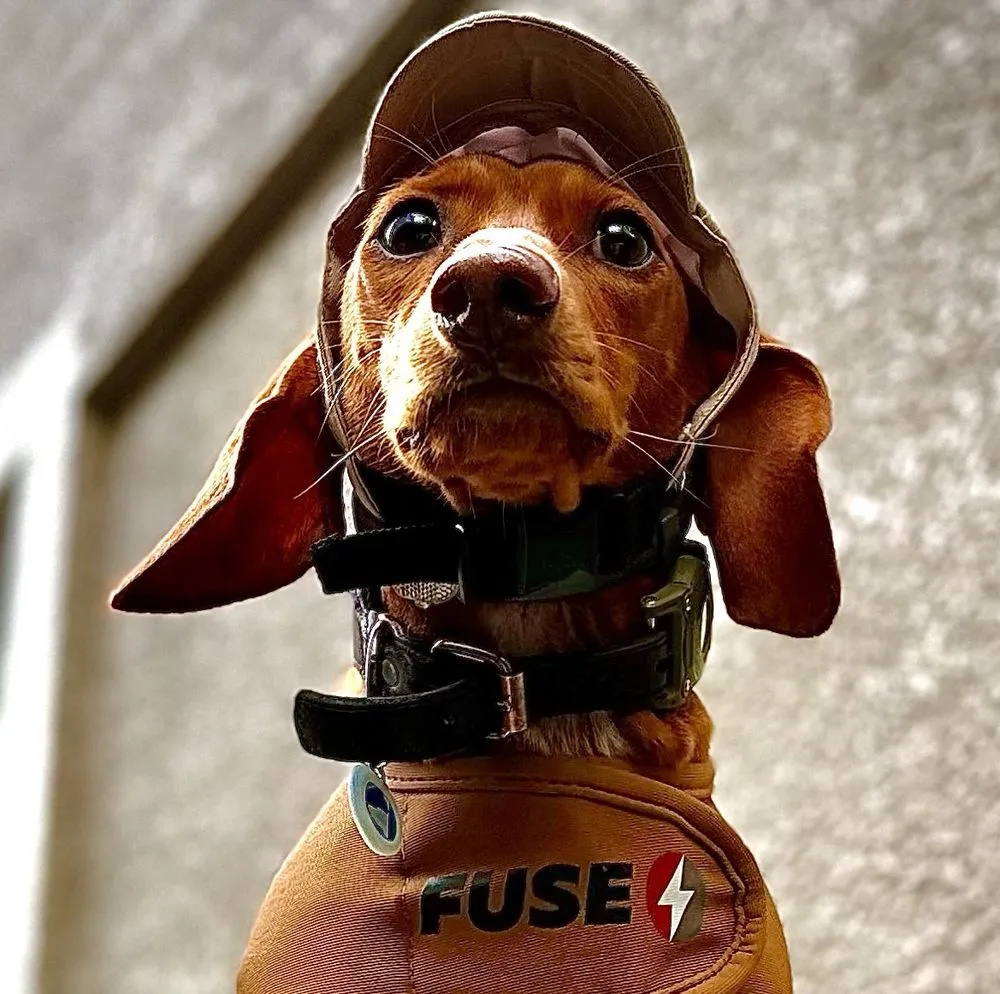 Slide of Fuse Service