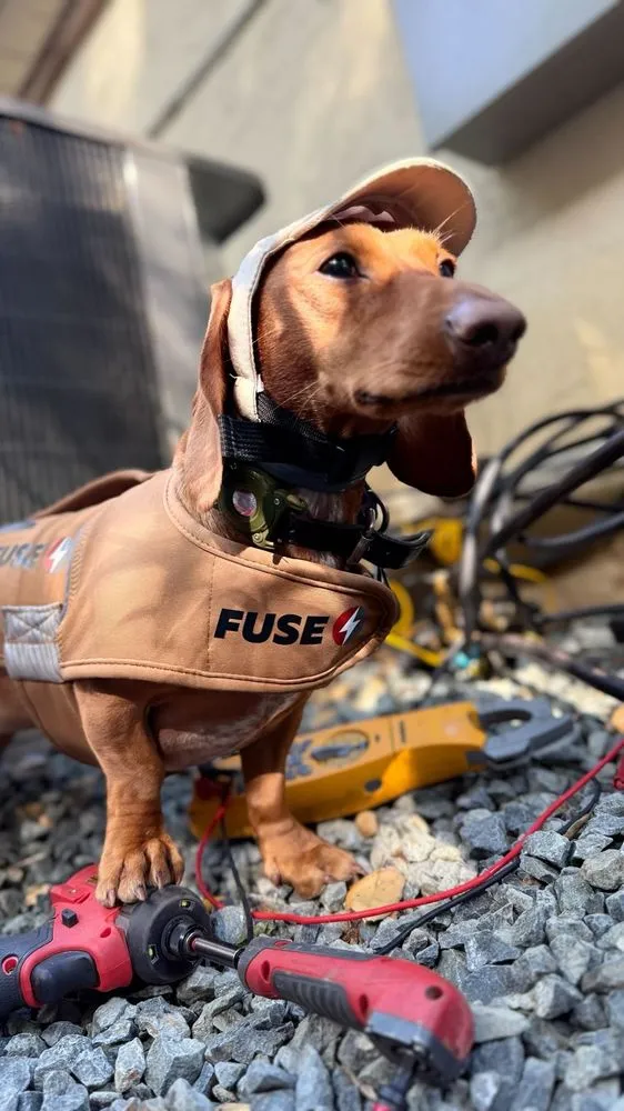 Slide of Fuse Service