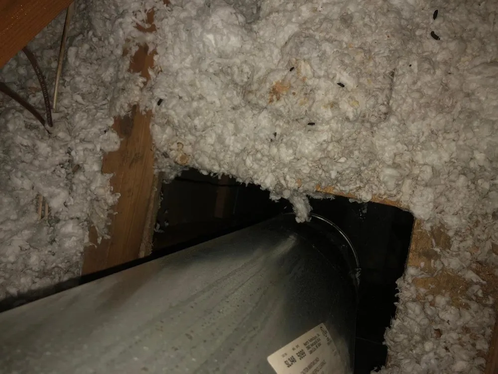 Slide of Future Air Cleaning