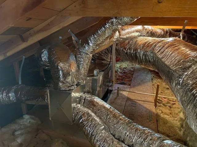 Slide of Fynaut & Johnson